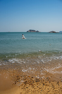 海