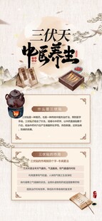 三伏天中醫(yī)養(yǎng)生宣傳海報(bào)