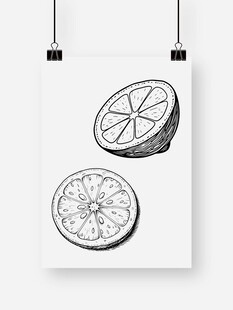黑白檸檬切片插畫
