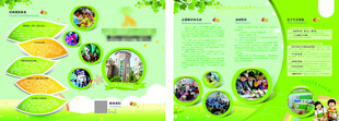 綠色清新蔬果宣傳畫冊頁