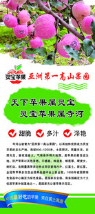蘋果展架