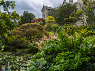 古老城堡旁的繁茂綠植景觀