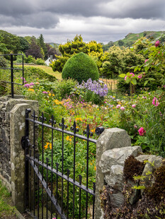 田園石墻旁的繽紛花卉