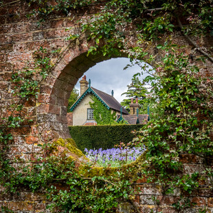 石墻圓洞中的美麗景致