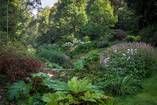 美麗繁茂的自然花園景觀