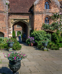 古樸庭院中的綠植與建筑