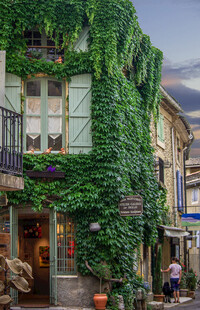 爬滿綠植的古樸歐式建筑