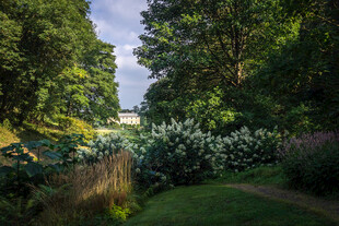 靜謐花園中的綠意景致