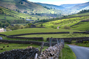 山間蜿蜒小路與田園風(fēng)光