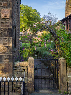 古樸庭院鐵門與綠植景致