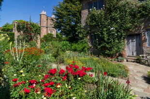 美麗花園中的多彩花卉景觀