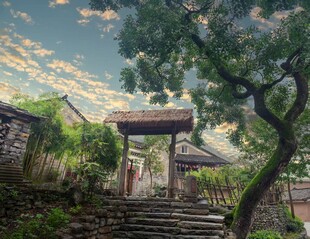 乡村庭院