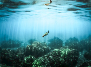 海底世界