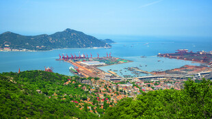 俯瞰海港風(fēng)光