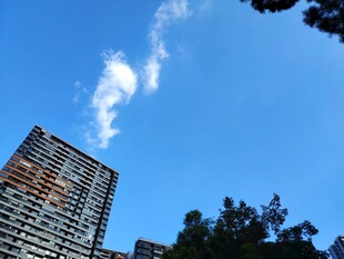 蓝天高楼间的白云美景
