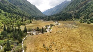 山谷中的金黄田野与溪流