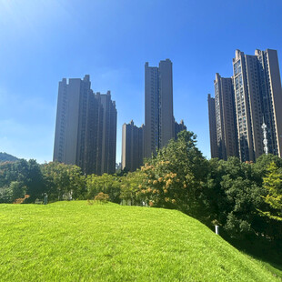 城市绿地旁的高楼景观