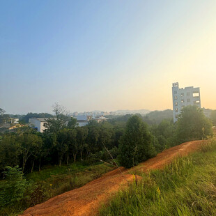 乡村小道边的绿意与建筑