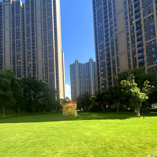 城市草坪旁的高楼景观