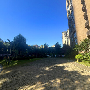 小区内的晴朗道路景观