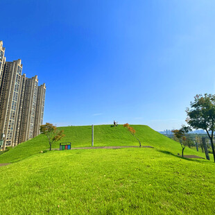 绿草如茵的城堡旁风景