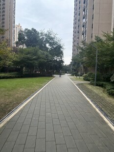 城市中的寧?kù)o林蔭步道