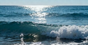 陽光下的海浪美景