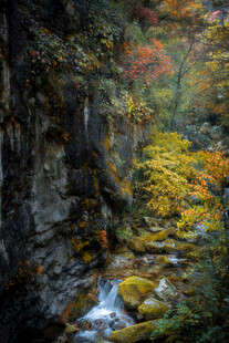 秋日山間溪流美景