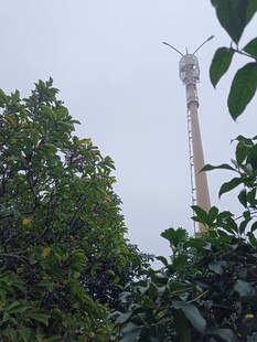 綠樹掩映中的高聳鐵塔