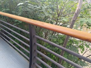 木質(zhì)欄桿旁的綠植景觀