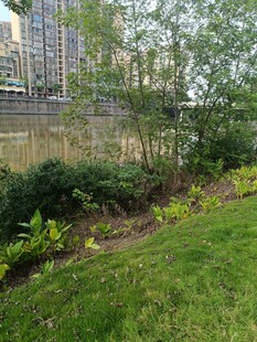 城市中的綠植景觀角落