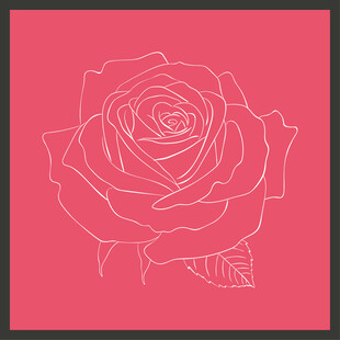 簡約線條玫瑰花圖案
