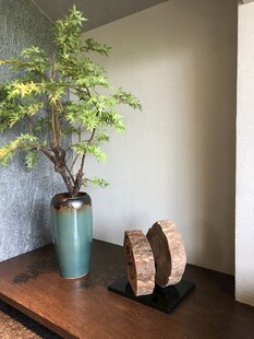 室內(nèi)綠植與擺件裝飾
