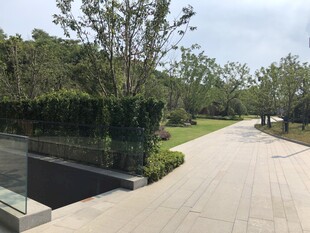 城市林蔭步道景觀