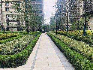 小區(qū)內(nèi)整潔的綠植步道