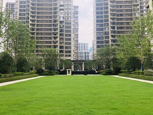 城市中的綠意草坪景觀