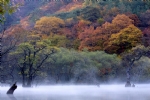 湖边色彩缤纷树林