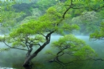 美丽湖面风景