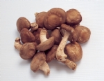 香菇