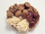 食用菌蔬菜