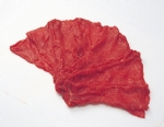 肉片