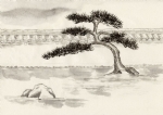 松树 水墨画