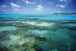 清澈的海水