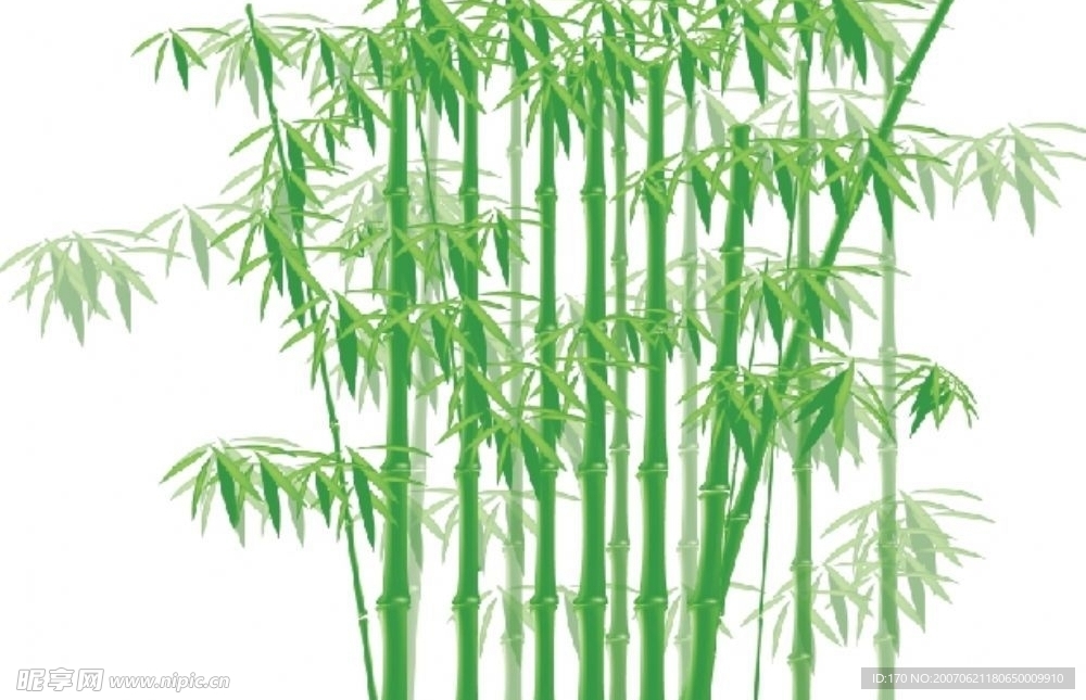 竹林