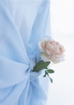 花朵
