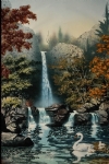 天鹅戏水画