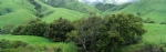 绿草地山坡