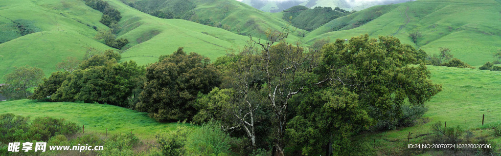 绿草地山坡