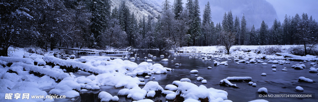 森林雪景