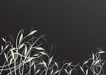 时尚花纹剪影矢量素材
